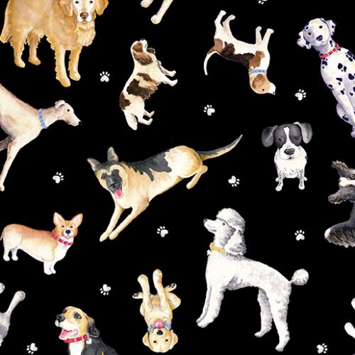 Benartex - Think Pawsitive - 9730-12 - Old Country Store Fabrics